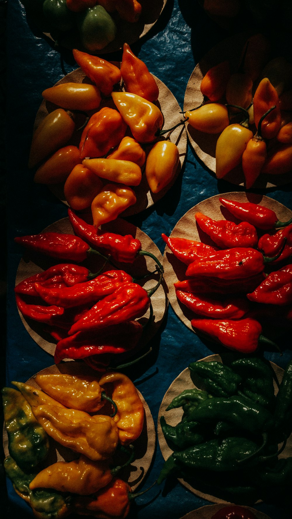 rote und gelbe Paprika