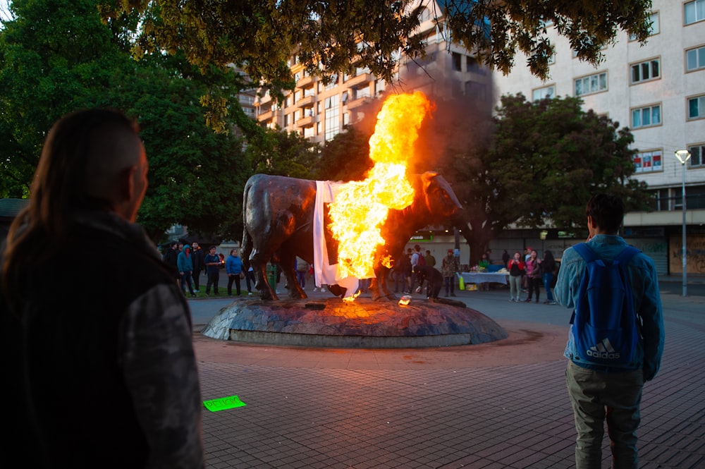 people standing near fire during night time