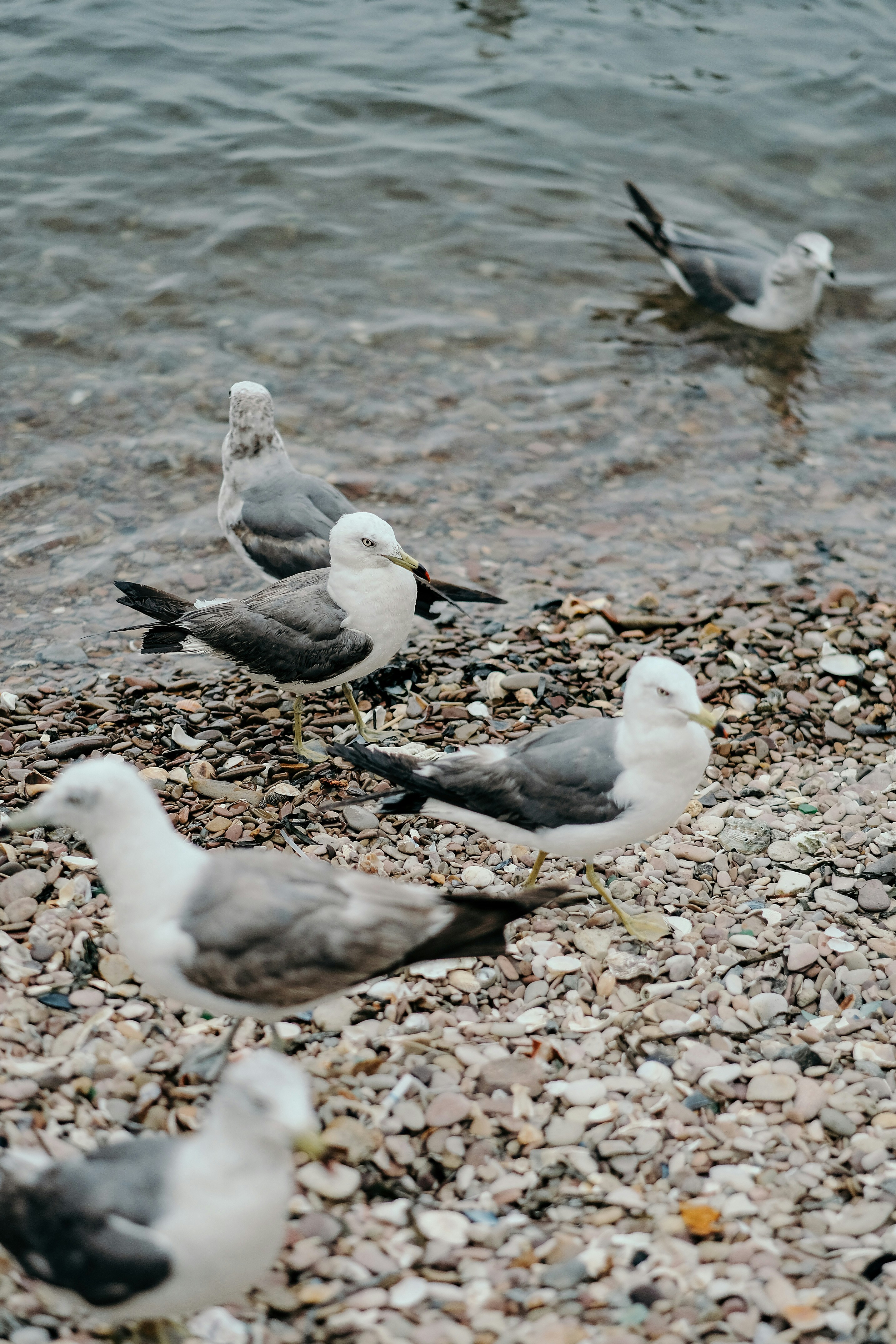 Photo by insungpandora