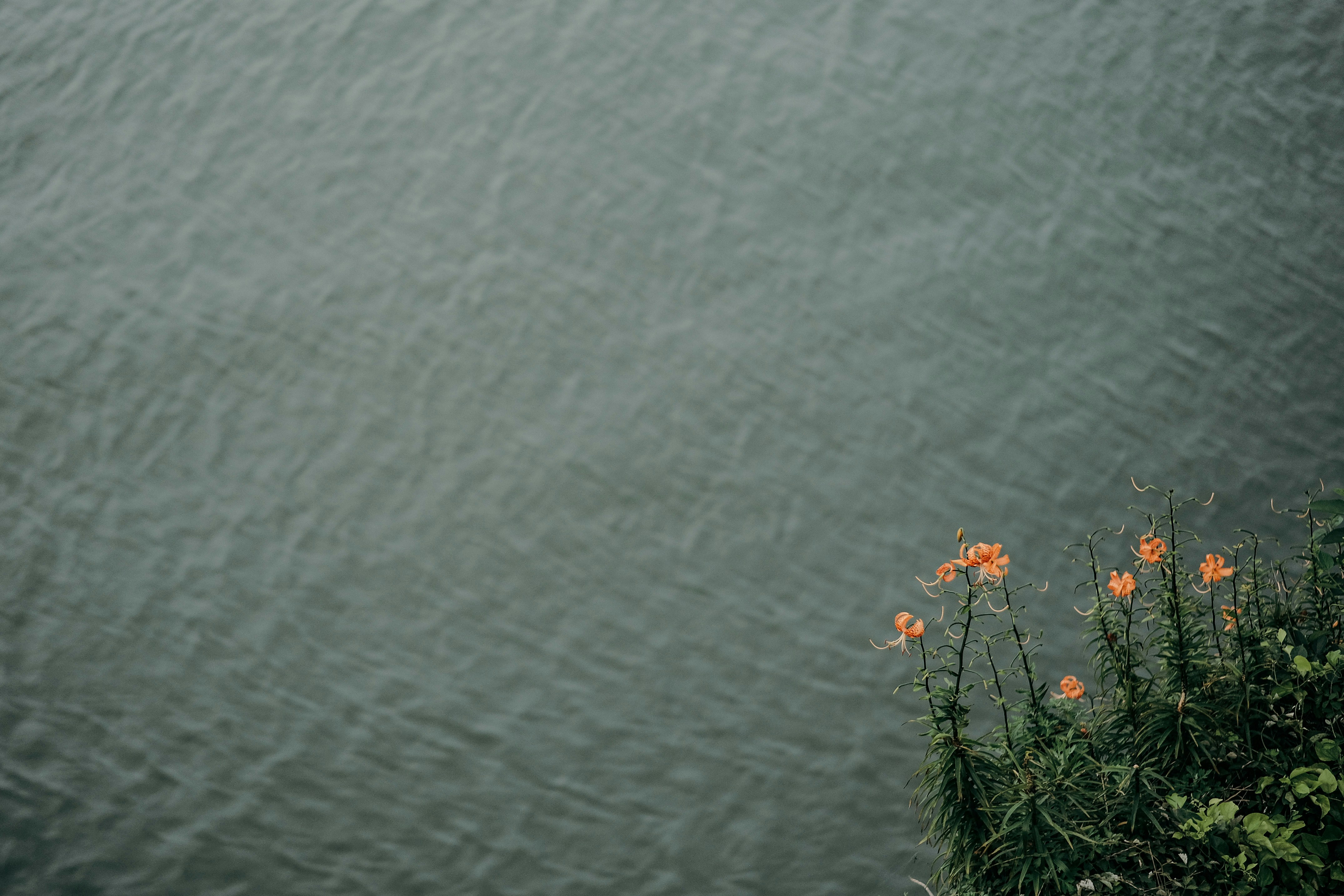 Photo by insungpandora