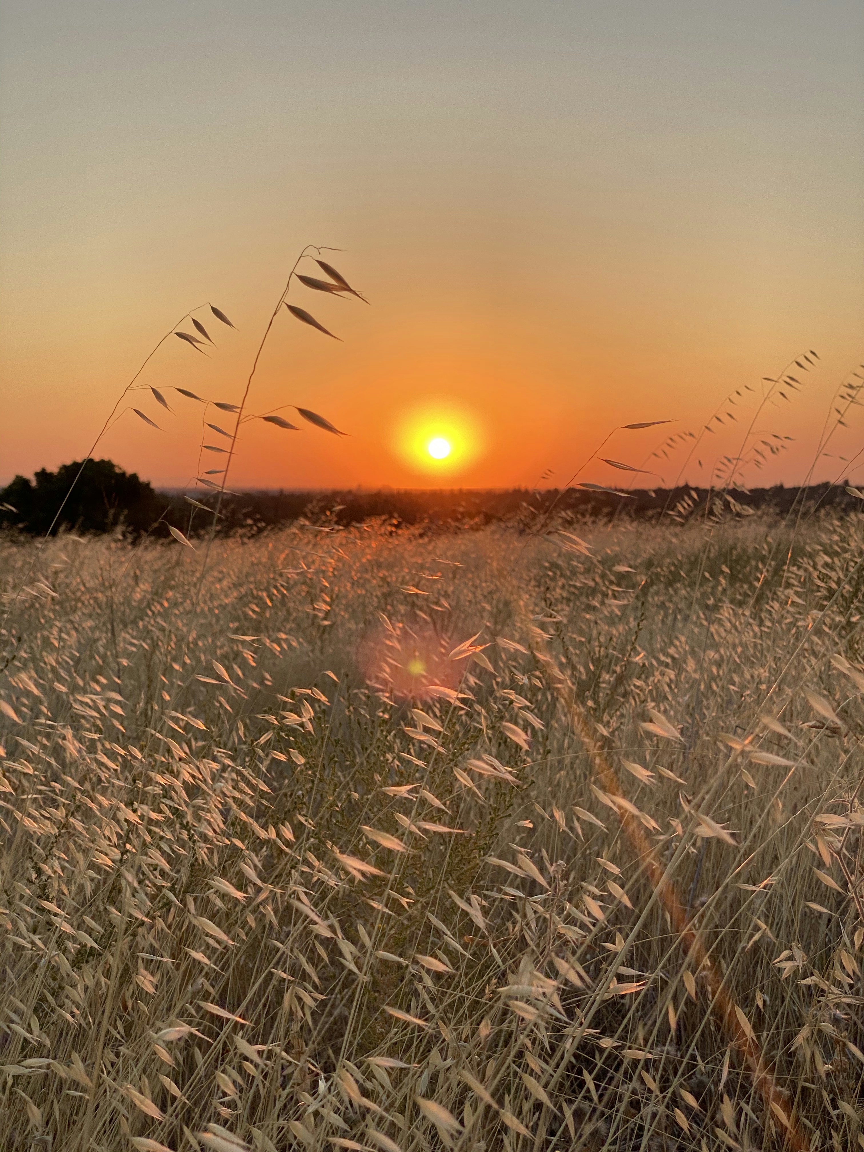 Photo by gracieemory