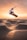 man in white t-shirt and brown pants riding skateboard on brown sand during daytime