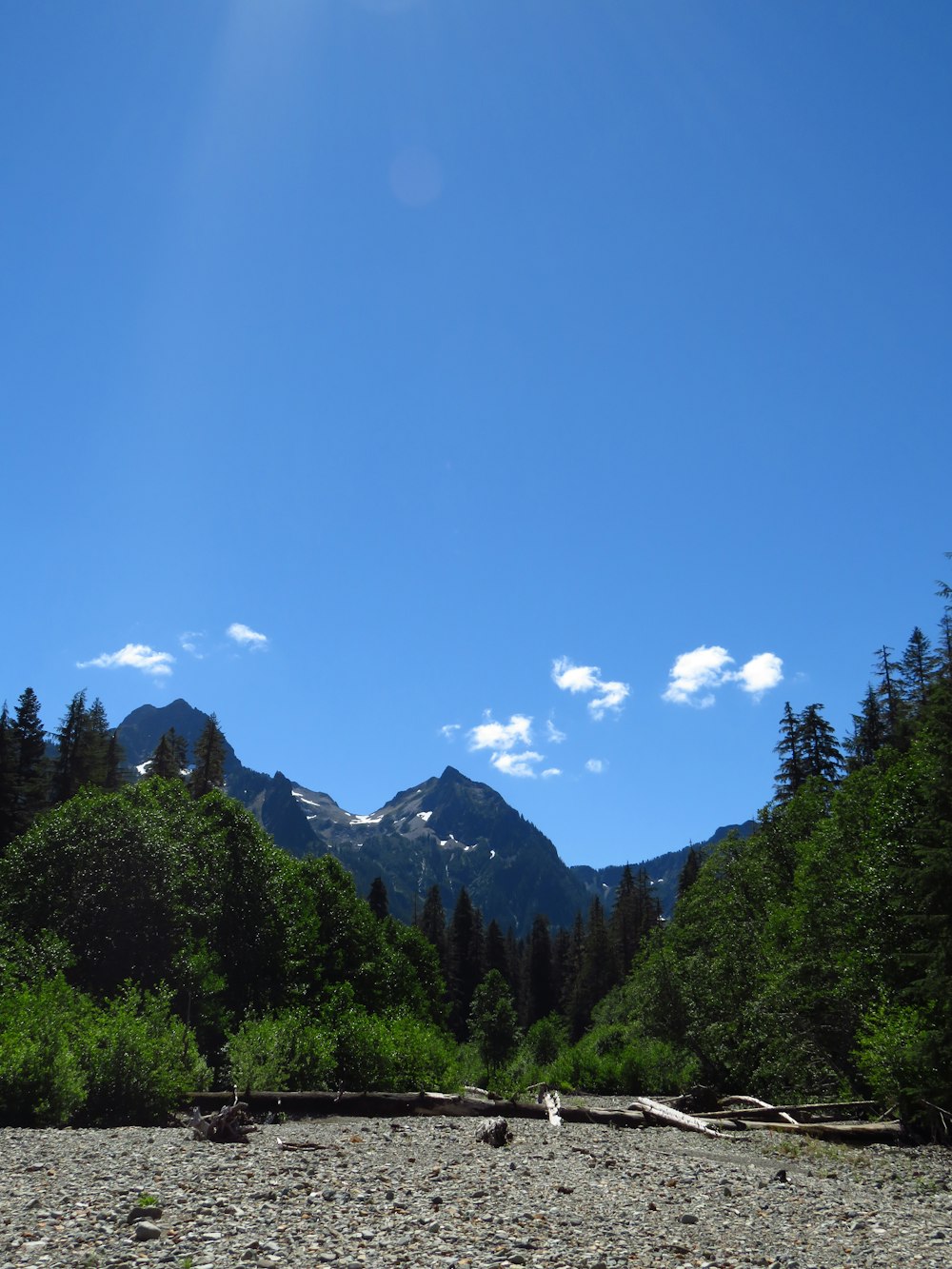 Grüne Bäume und Berge unter blauem Himmel tagsüber