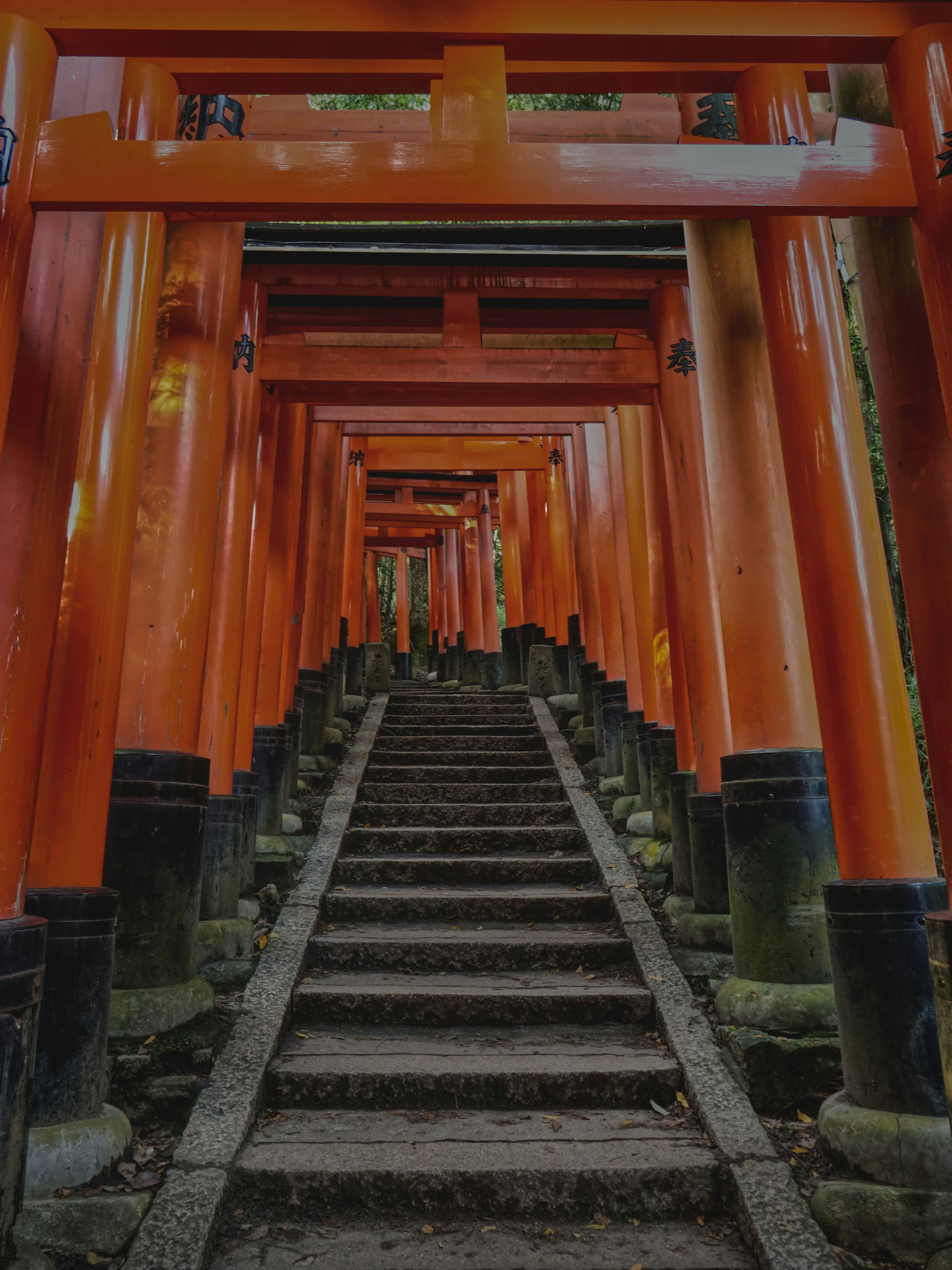 Photo by toyamakanna