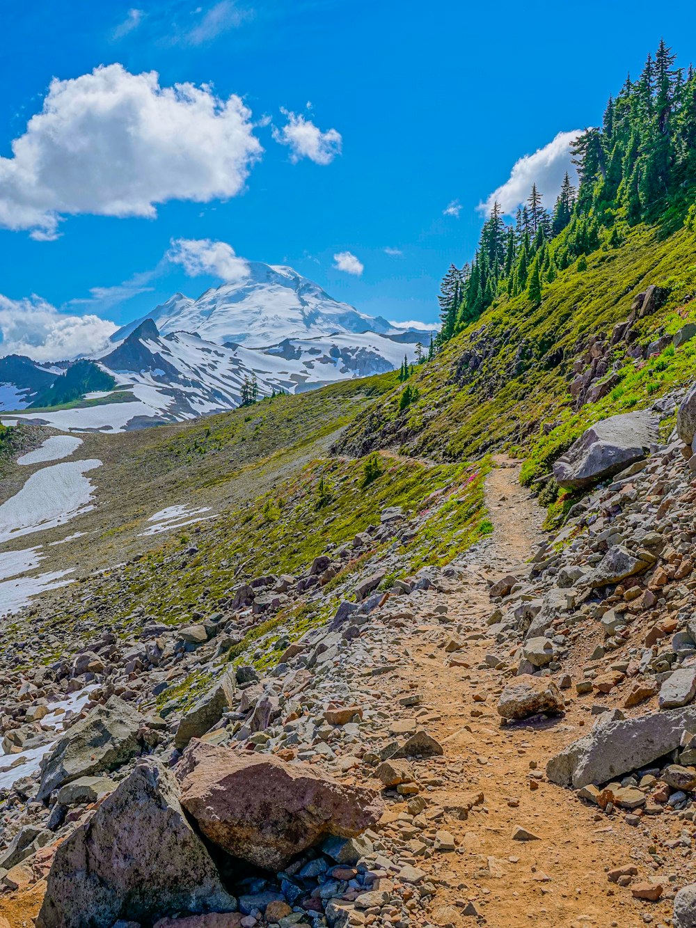 green grass covered mountain under blue sky during daytime