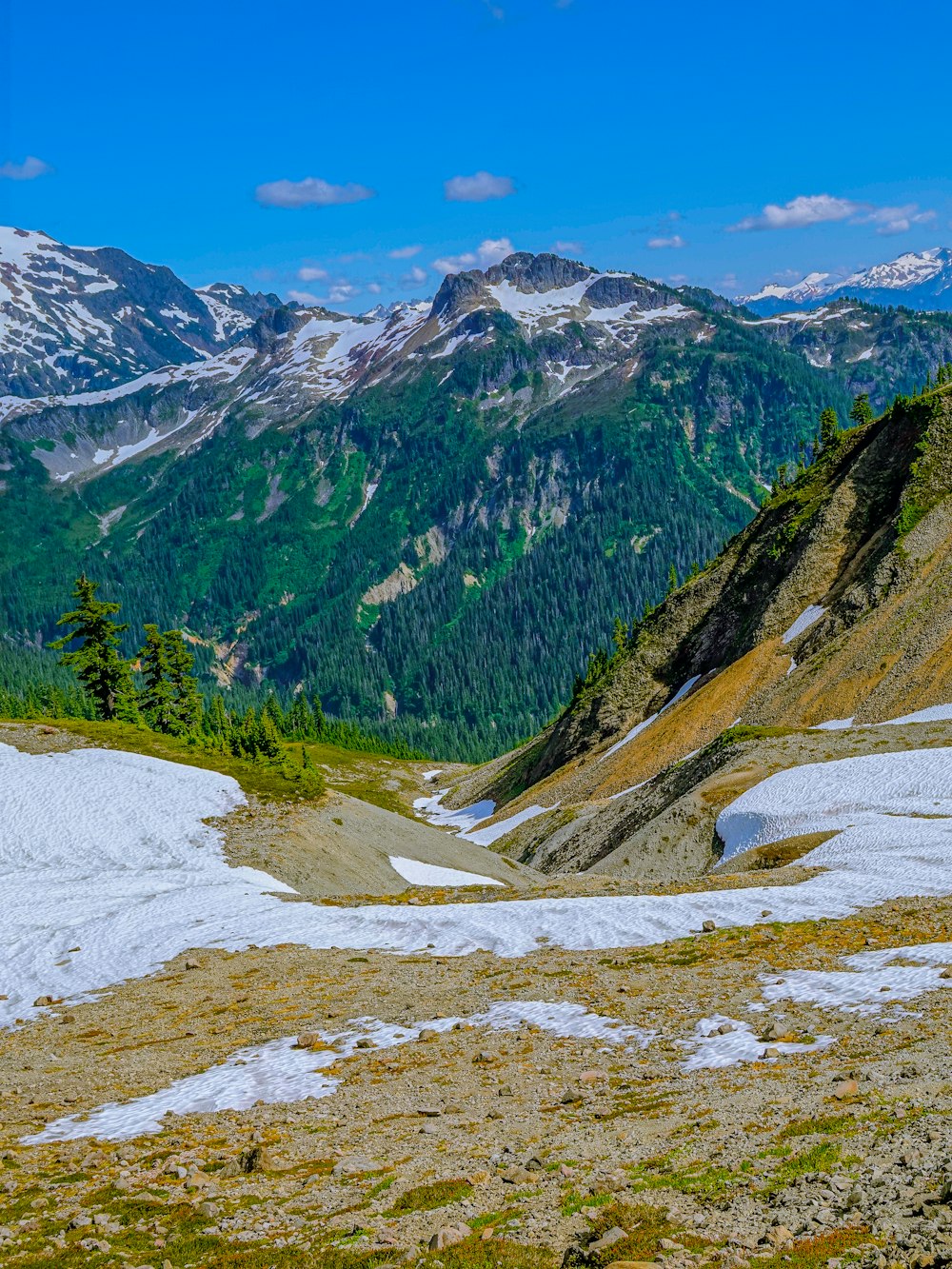 green and brown mountains during daytime