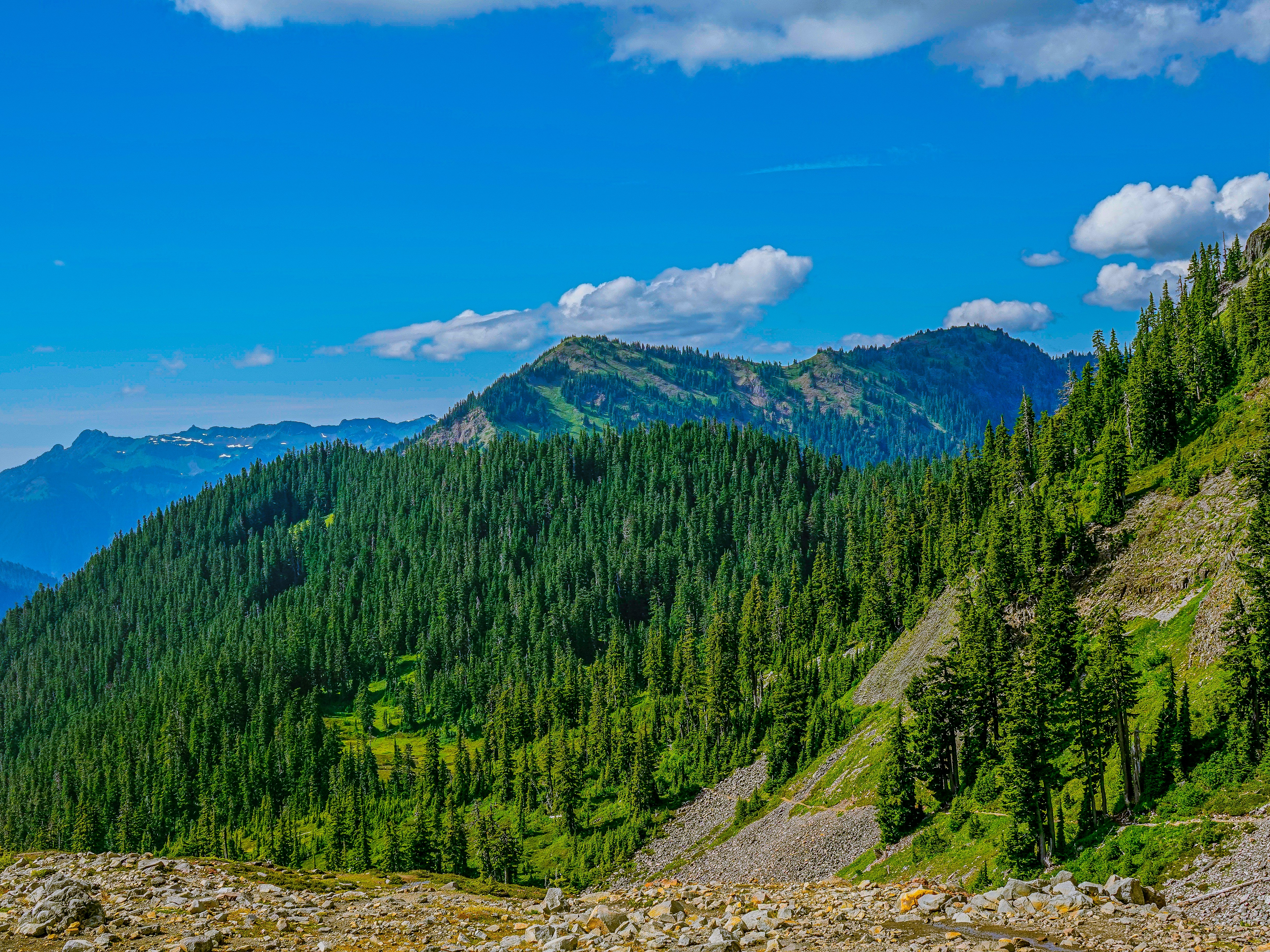 Photo by pavlpolo_official