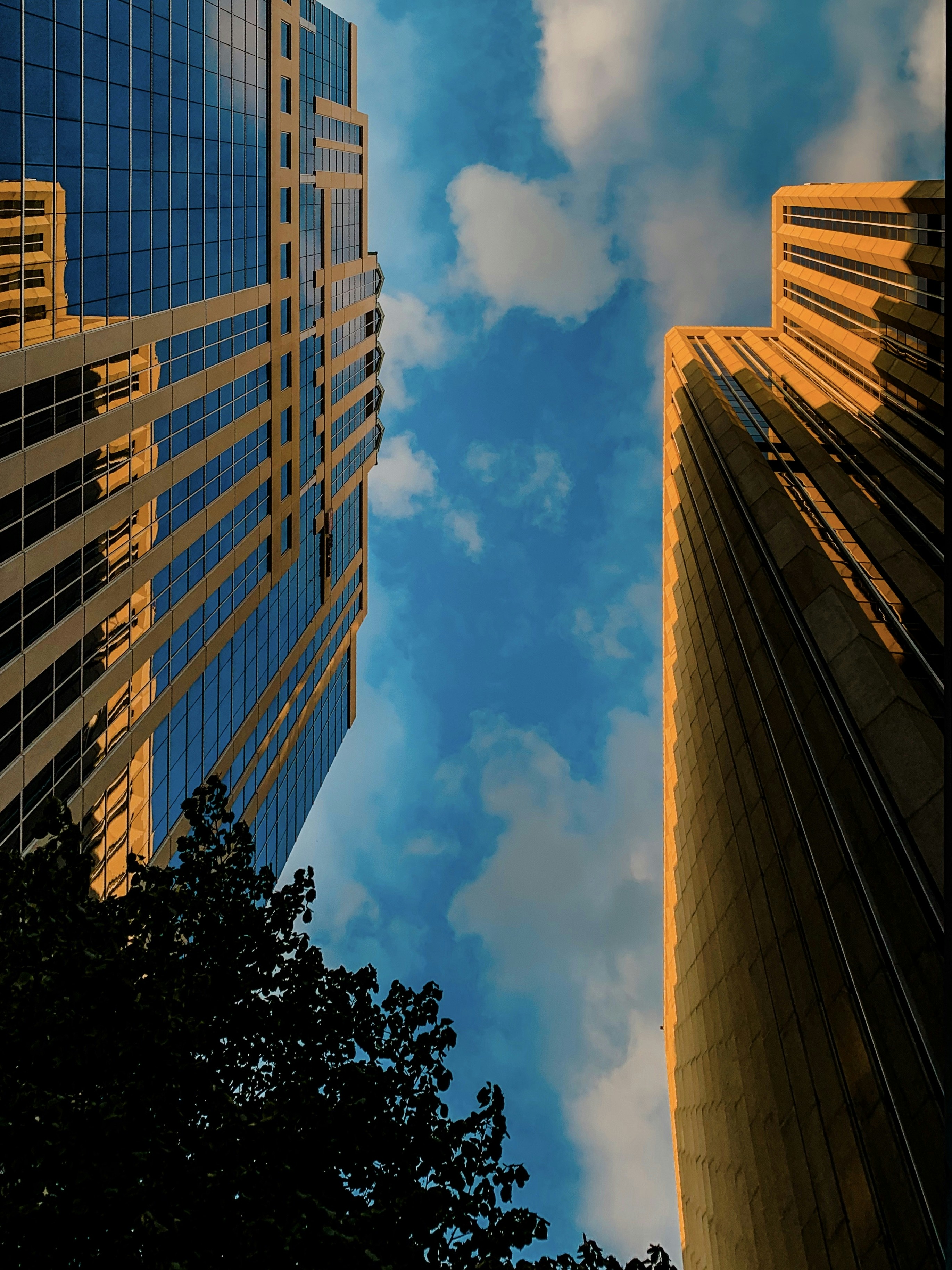 Photo by sandra_ruda