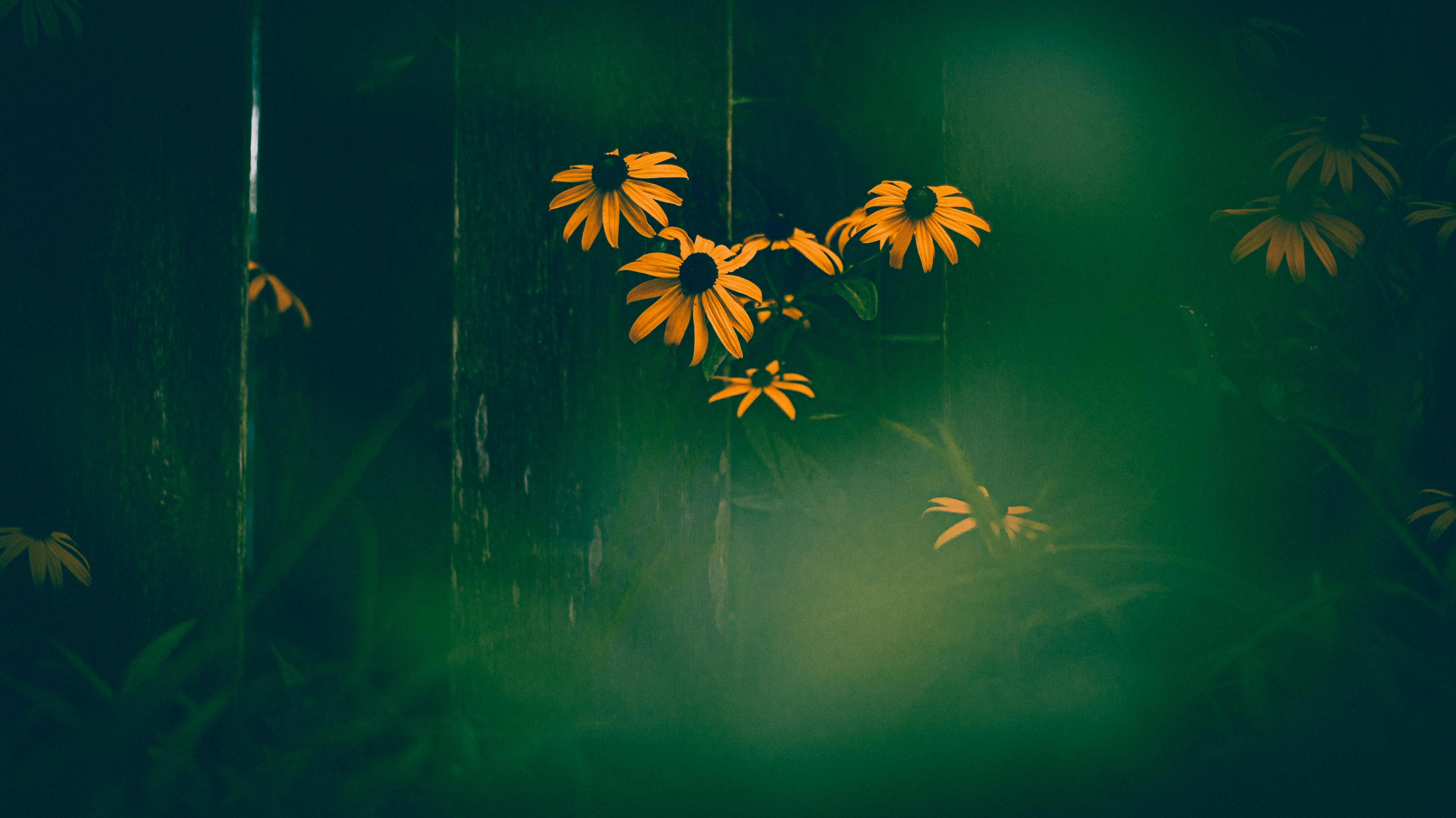 Photo by jdleonardphoto