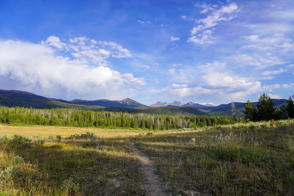 green grass field near mountain under blue sky during daytime