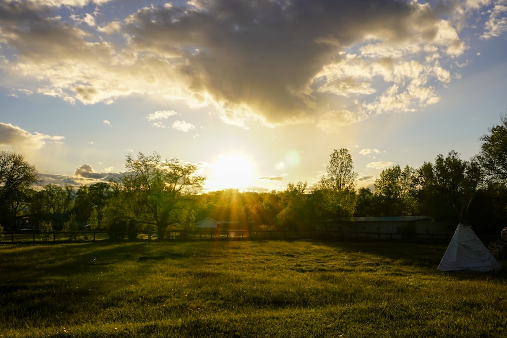 green grass field under blue sky during daytime