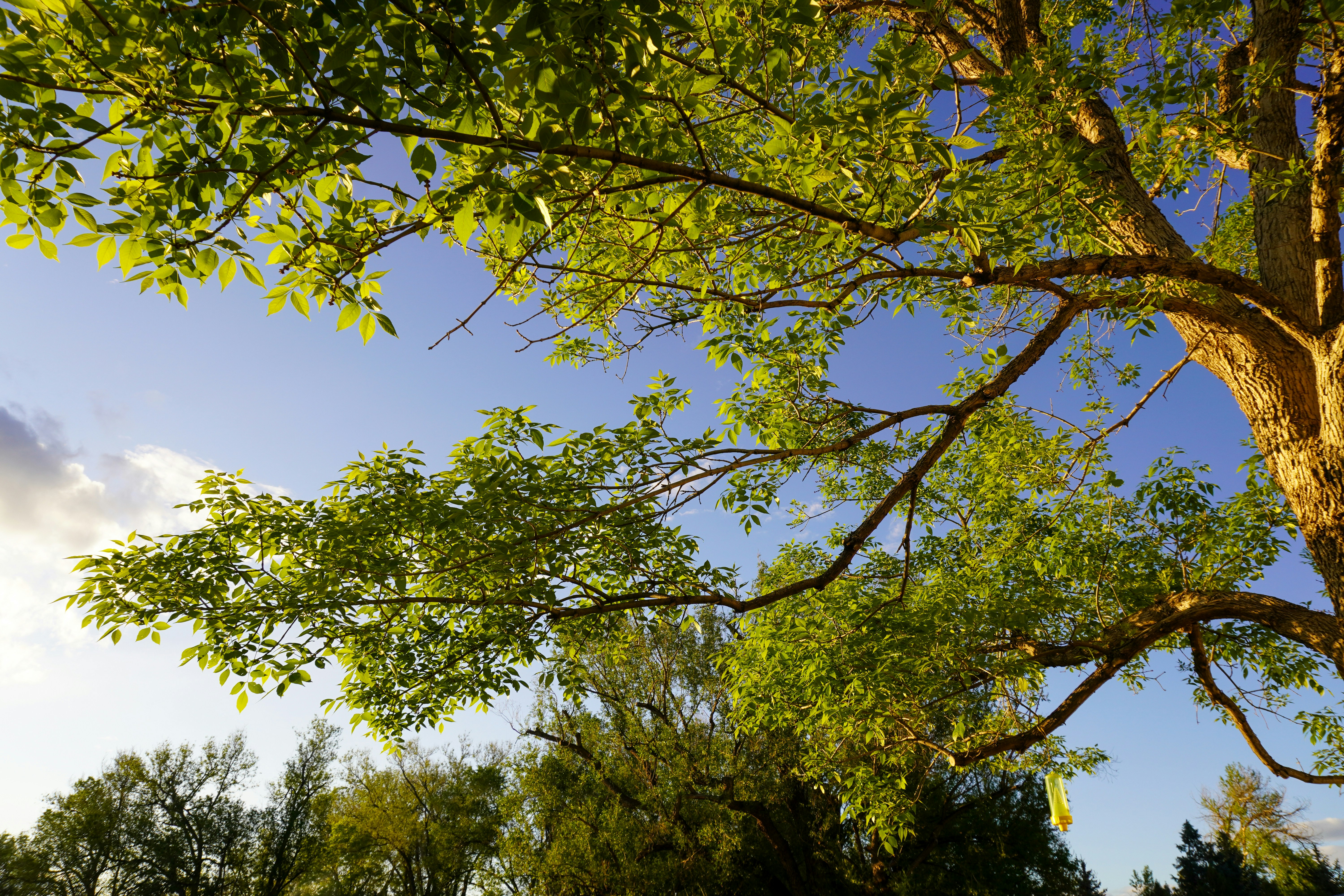 Photo by dillonfancher