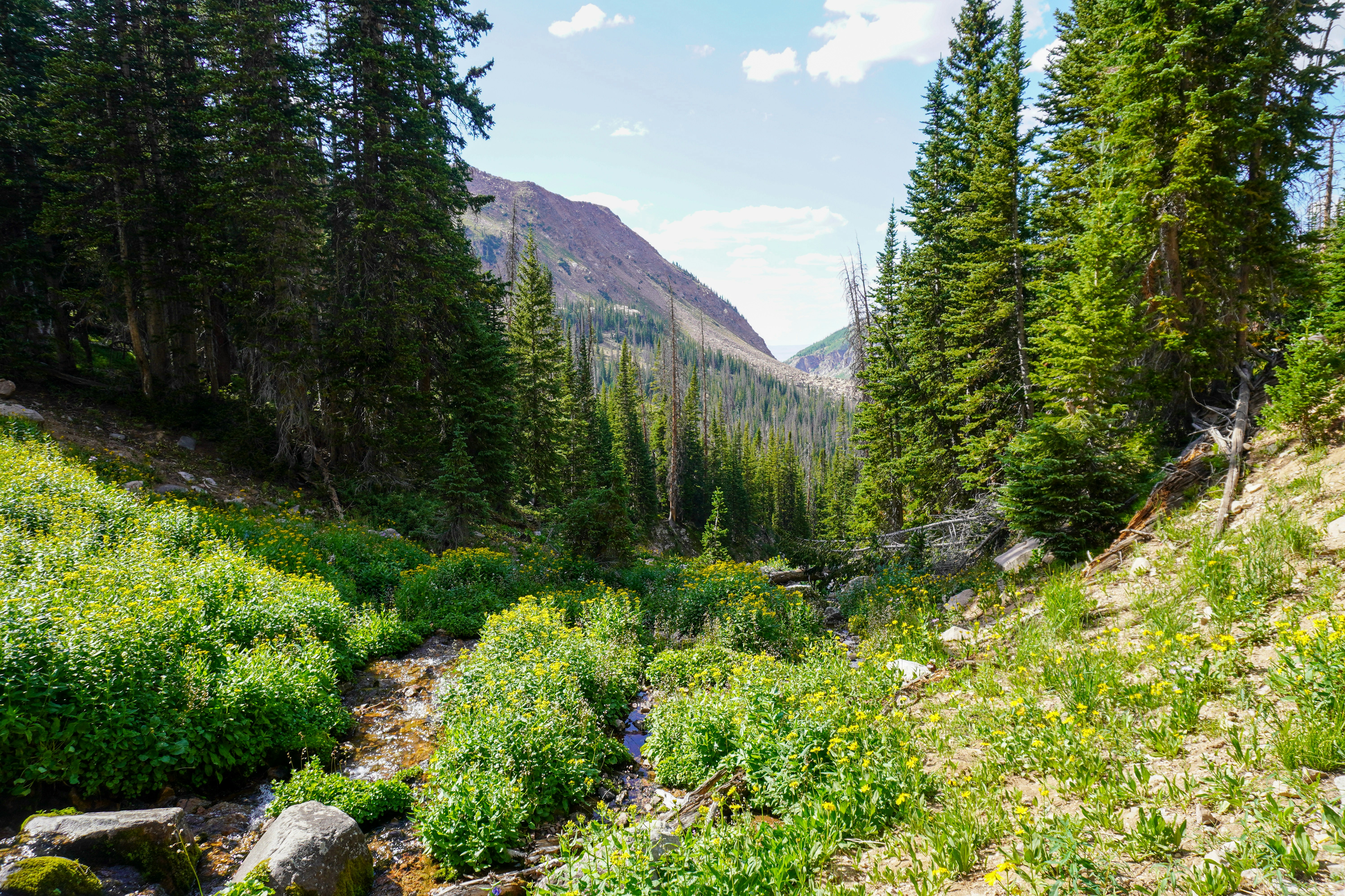 Photo by dillonfancher