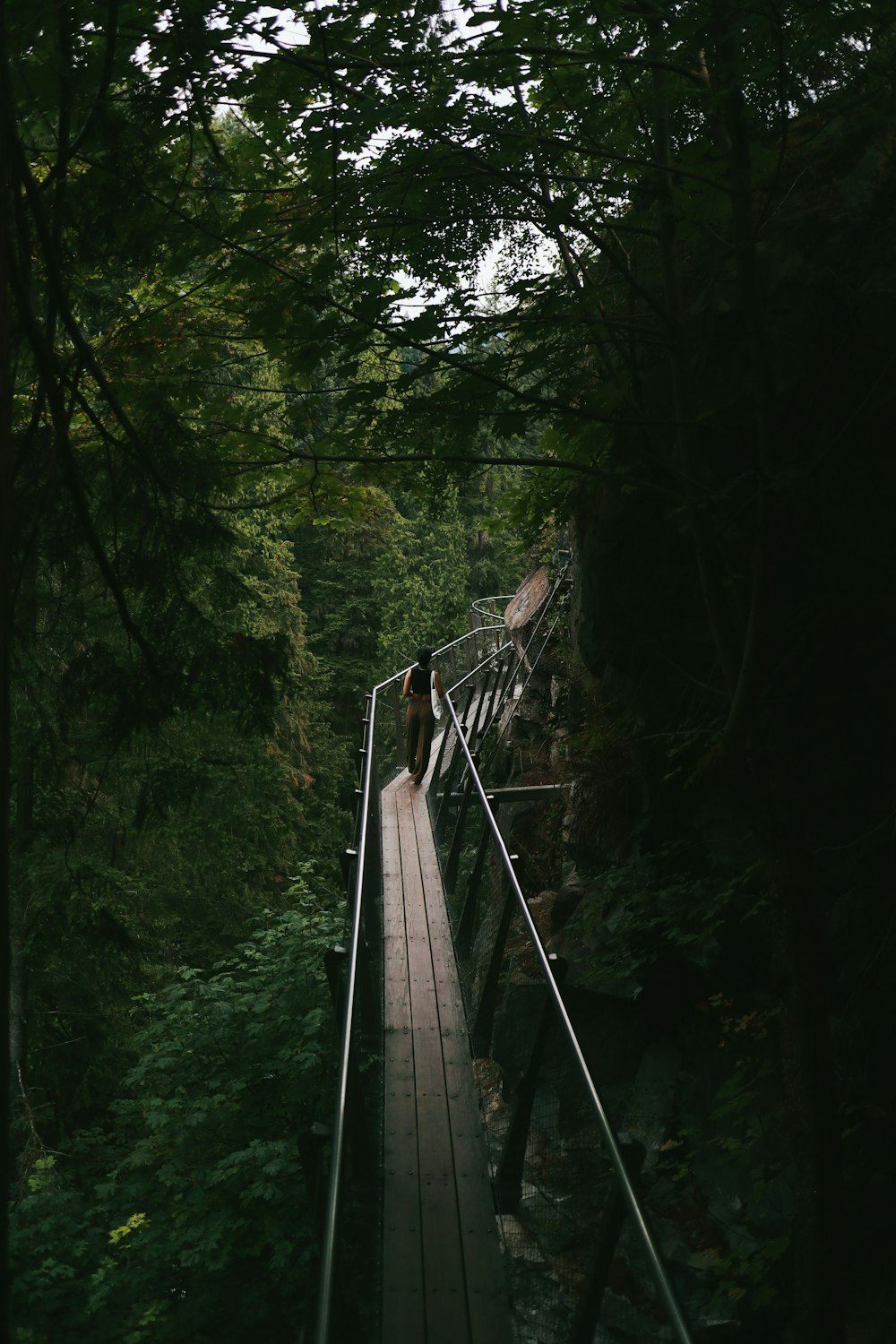 gray hanging bridge surrounded by green trees during daytime