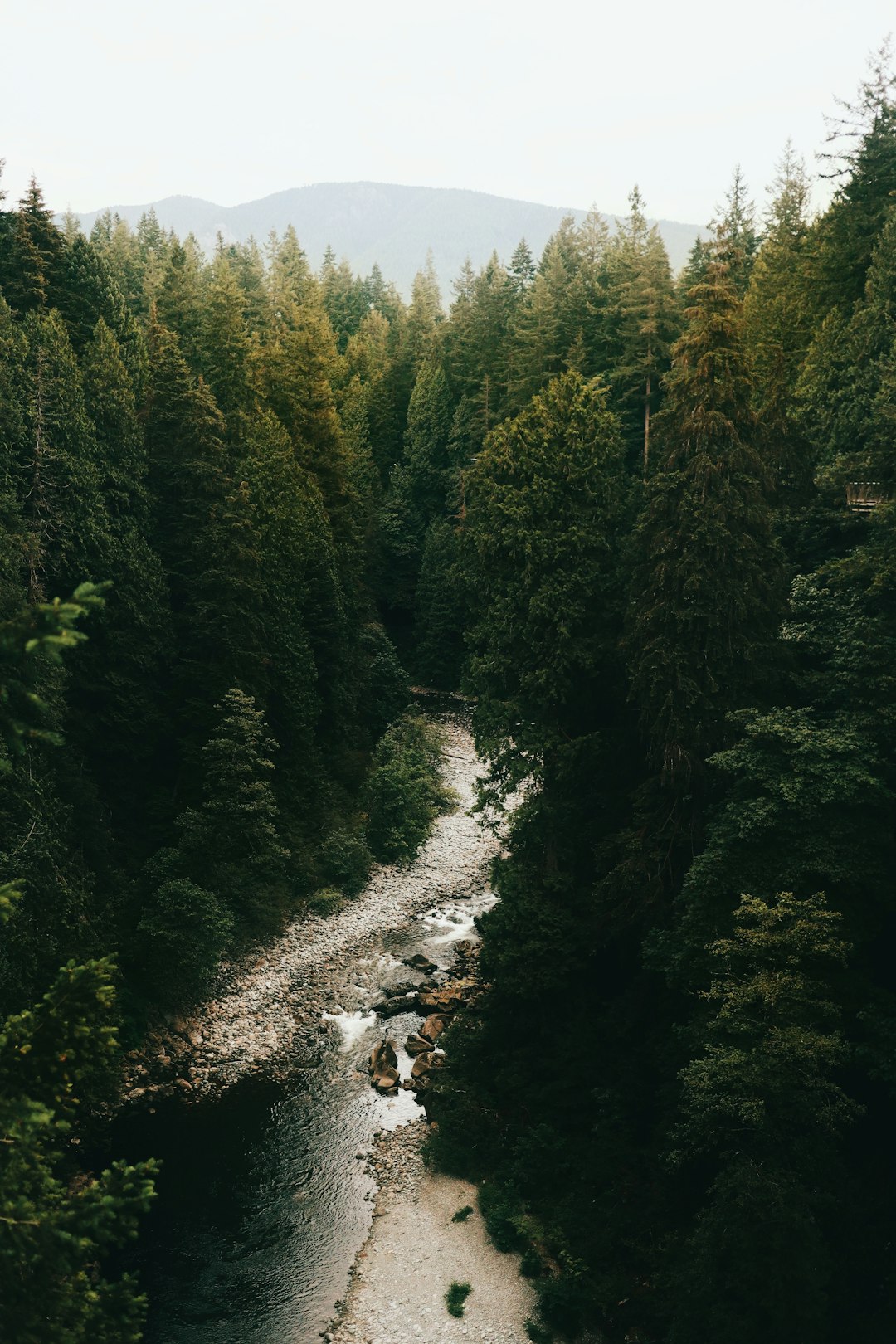 River photo spot Vancouver Maple Ridge