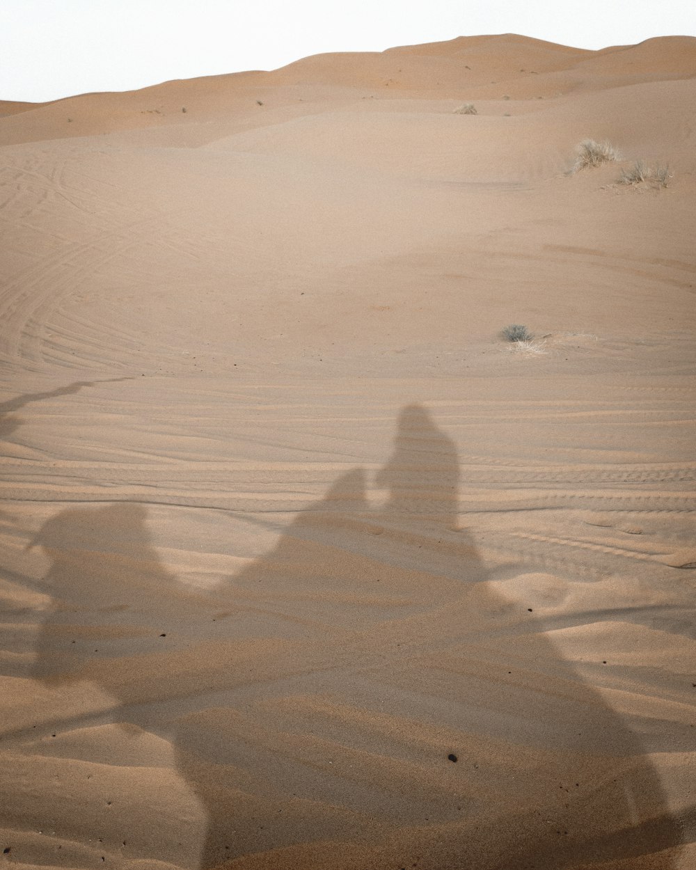 sombra da pessoa na areia durante o dia