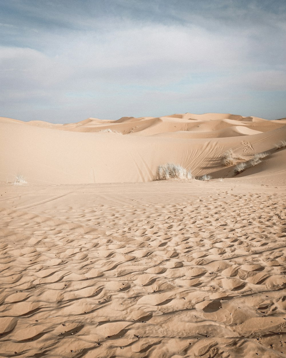 sable brun avec montagne brune au loin