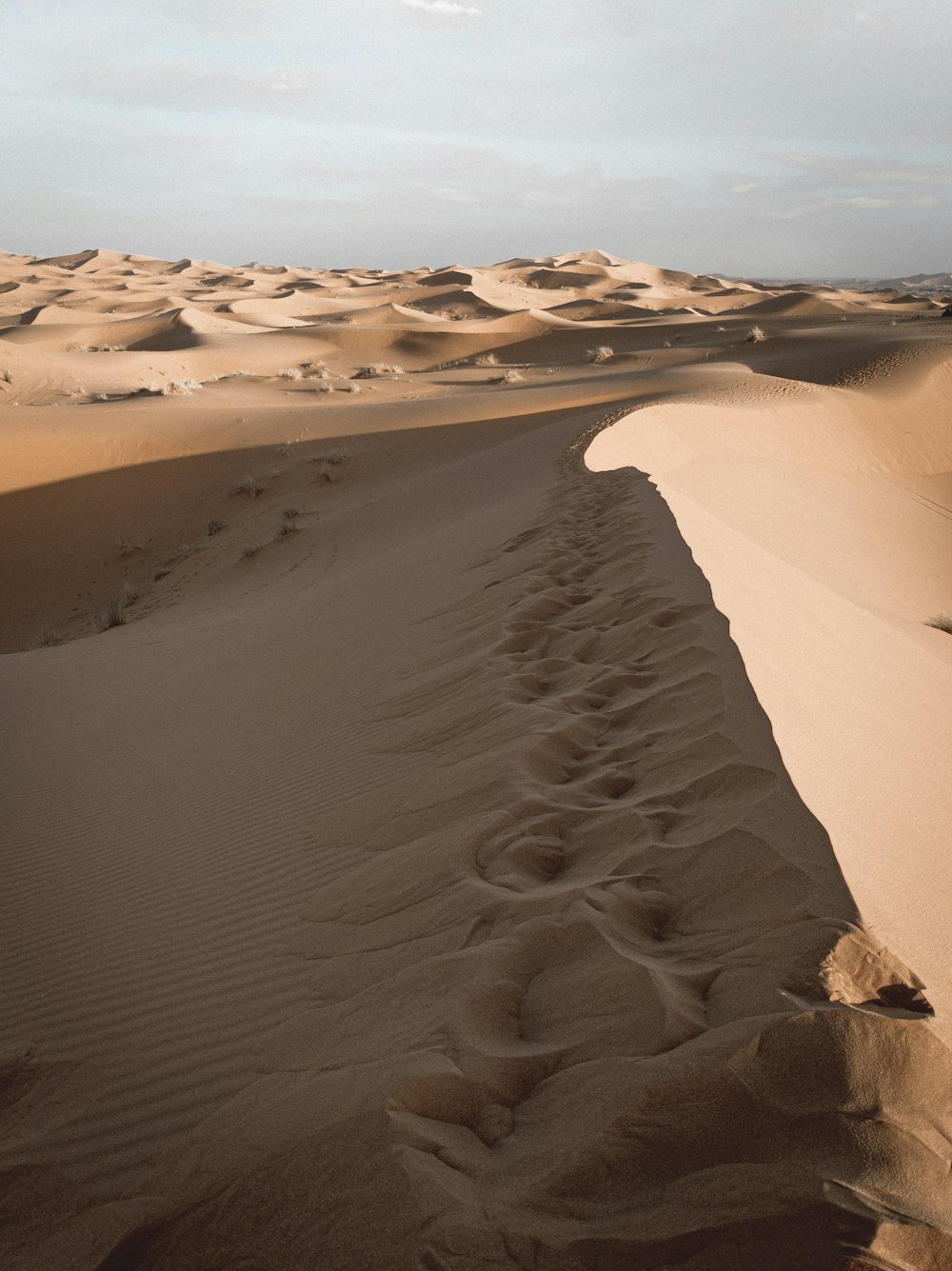 campo di sabbia marrone durante il giorno