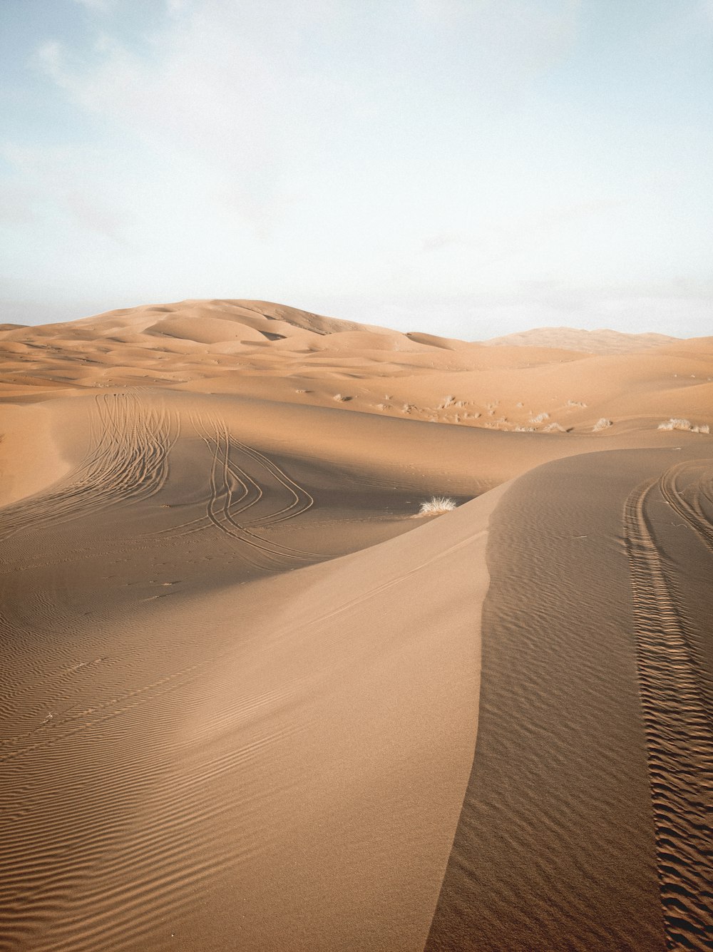 Dunes de sable brun sous un ciel bleu pendant la journée
