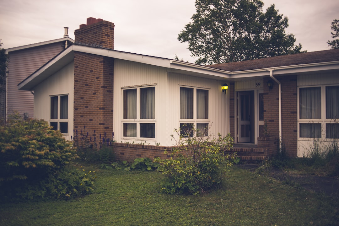 white and brown wooden house near green grass field during daytime