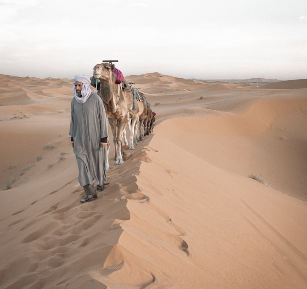 2 men walking on desert during daytime