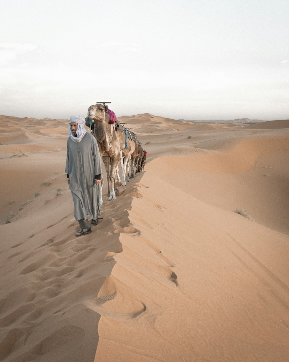 2 men walking on desert during daytime