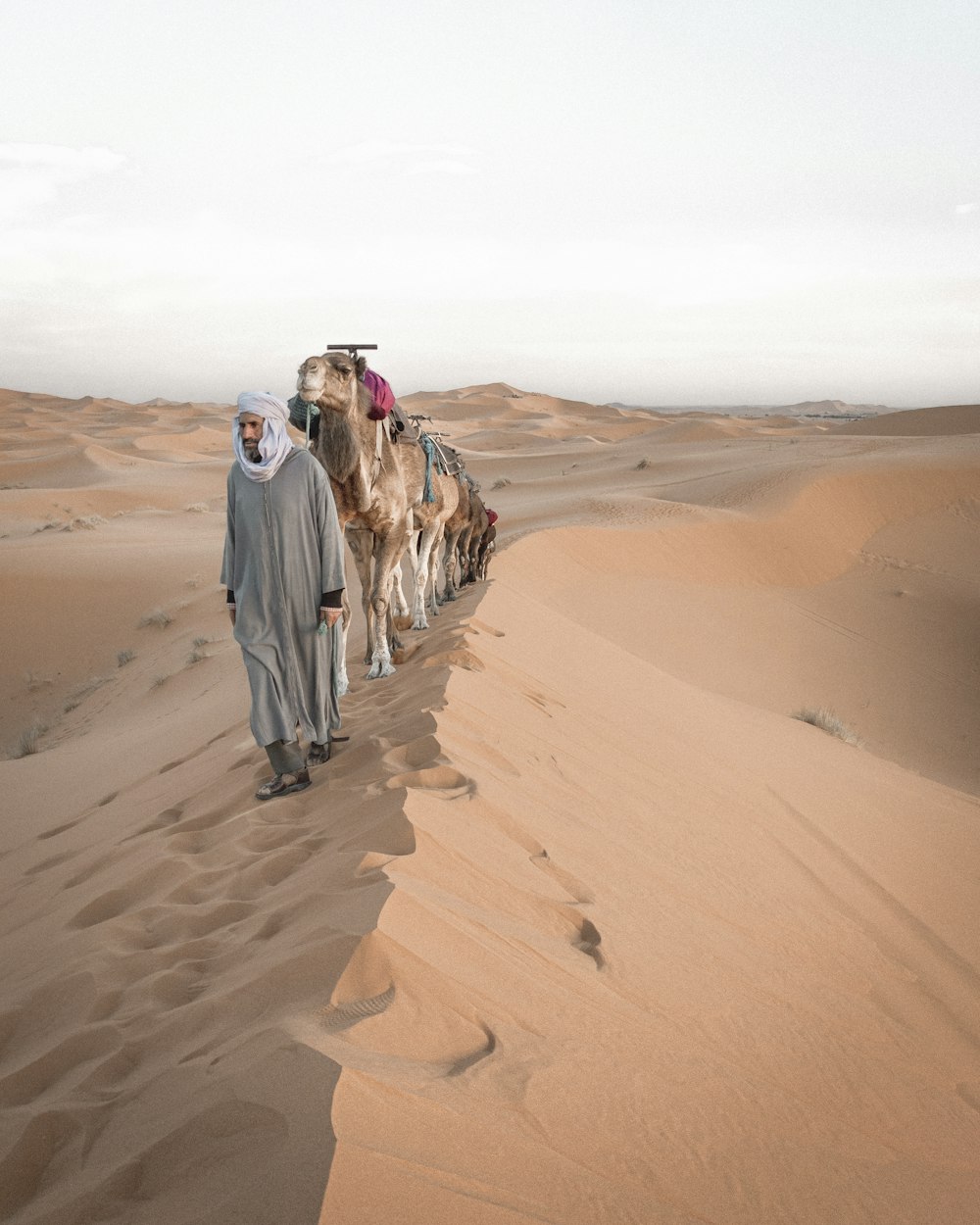 2 Männer spazieren tagsüber durch die Wüste
