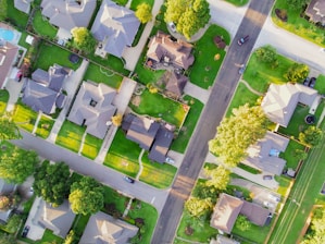 aerial view of green trees and white flowers