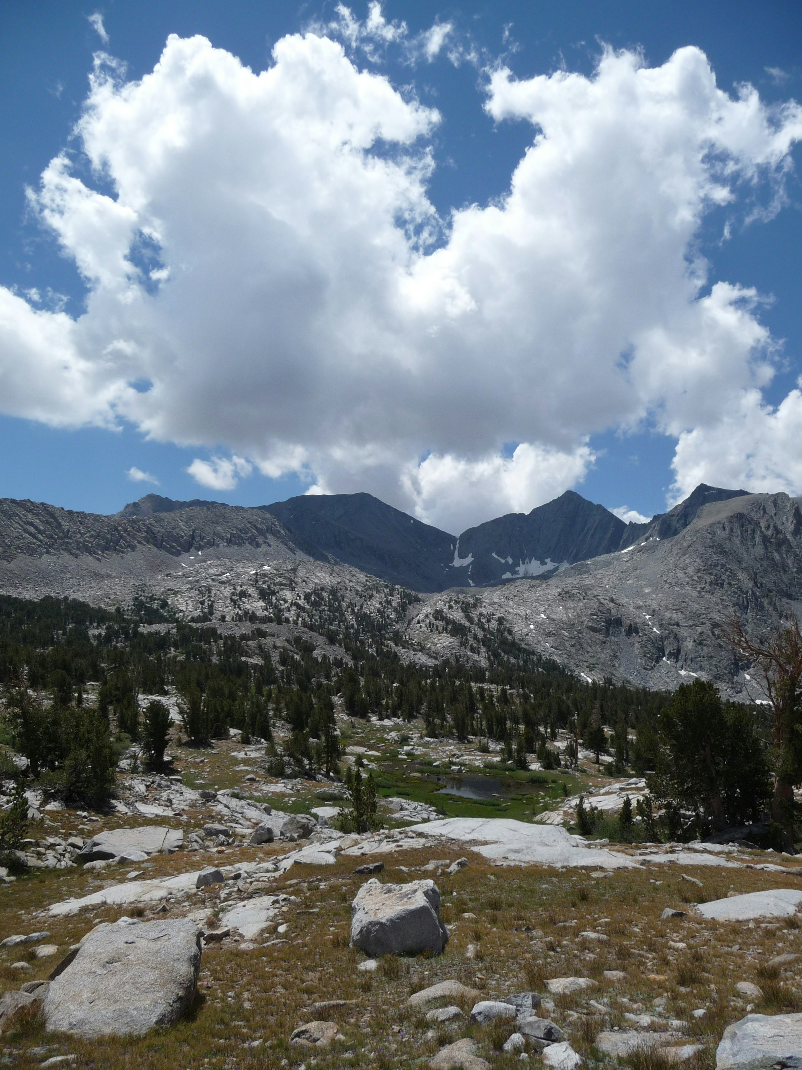 Photo by diggity_dog