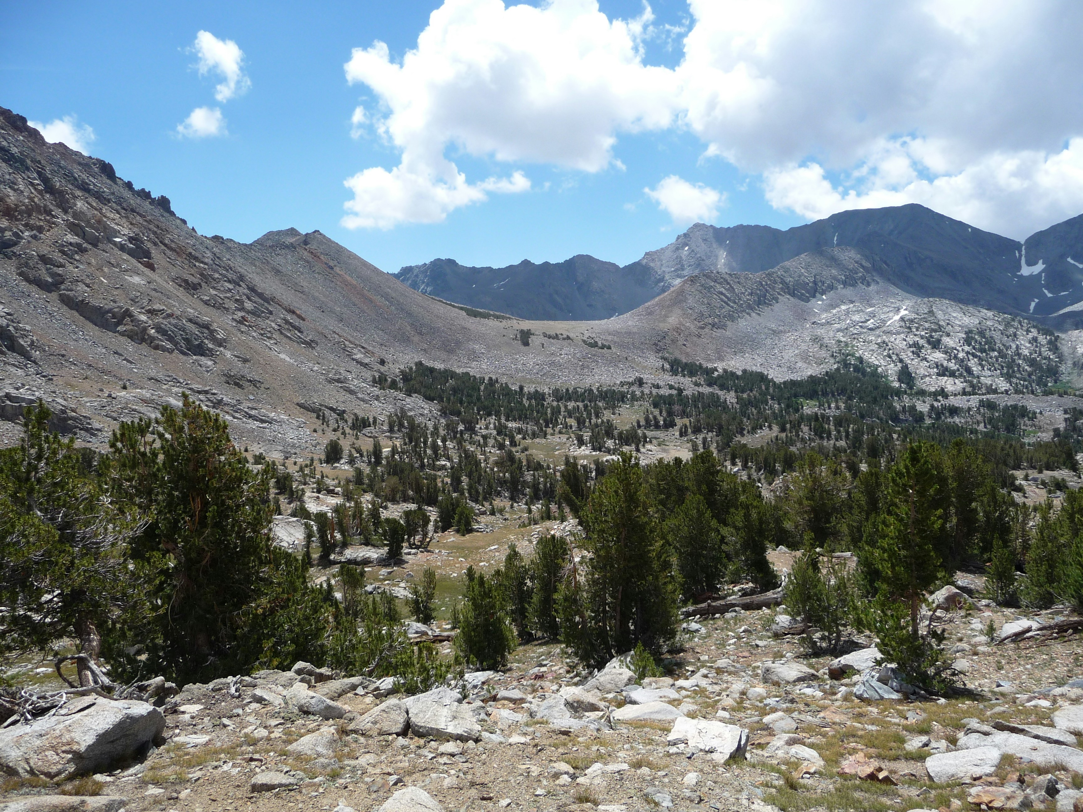 Photo by diggity_dog