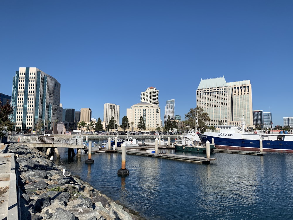 white and blue boat on sea near city buildings during daytime