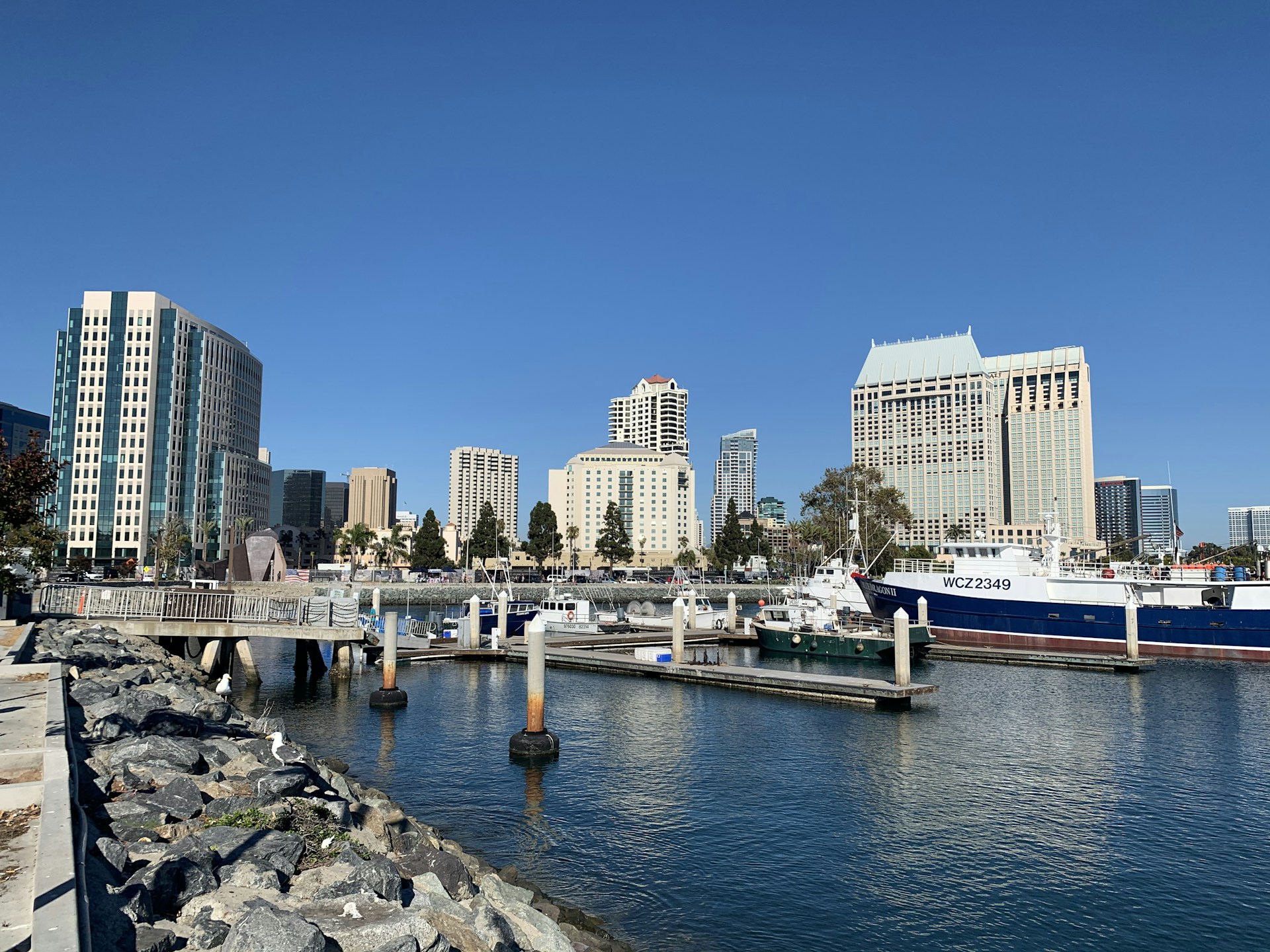 white and blue boat on sea near city buildings during daytime