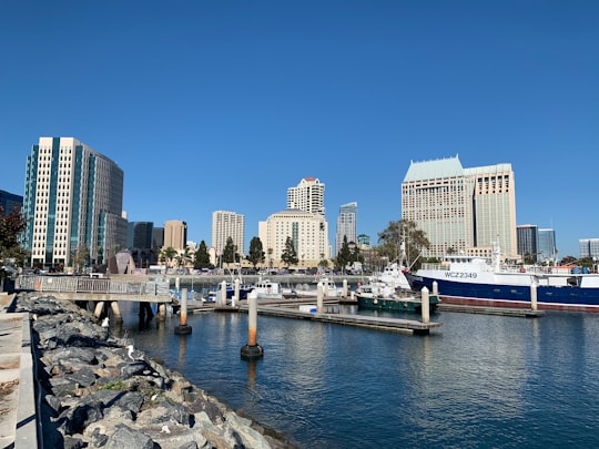 white and blue boat on sea near city buildings during daytime in USS Midway Museum United States