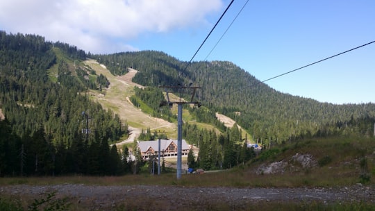 green trees near mountain under blue sky during daytime in Cypress Mountain Ski Area Canada