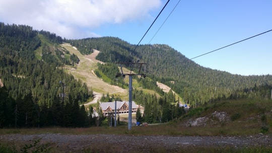 Cypress Mountain Ski Area things to do in West Vancouver