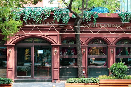A charming storefront with three large arched windows and a glass door decorated with ornate molding. The exterior is adorned with green plants and pink flowers. A tree partially obscures the building's facade. Small wall lanterns are mounted between the windows, and the signage above includes the words Cocktail & Whiskey.