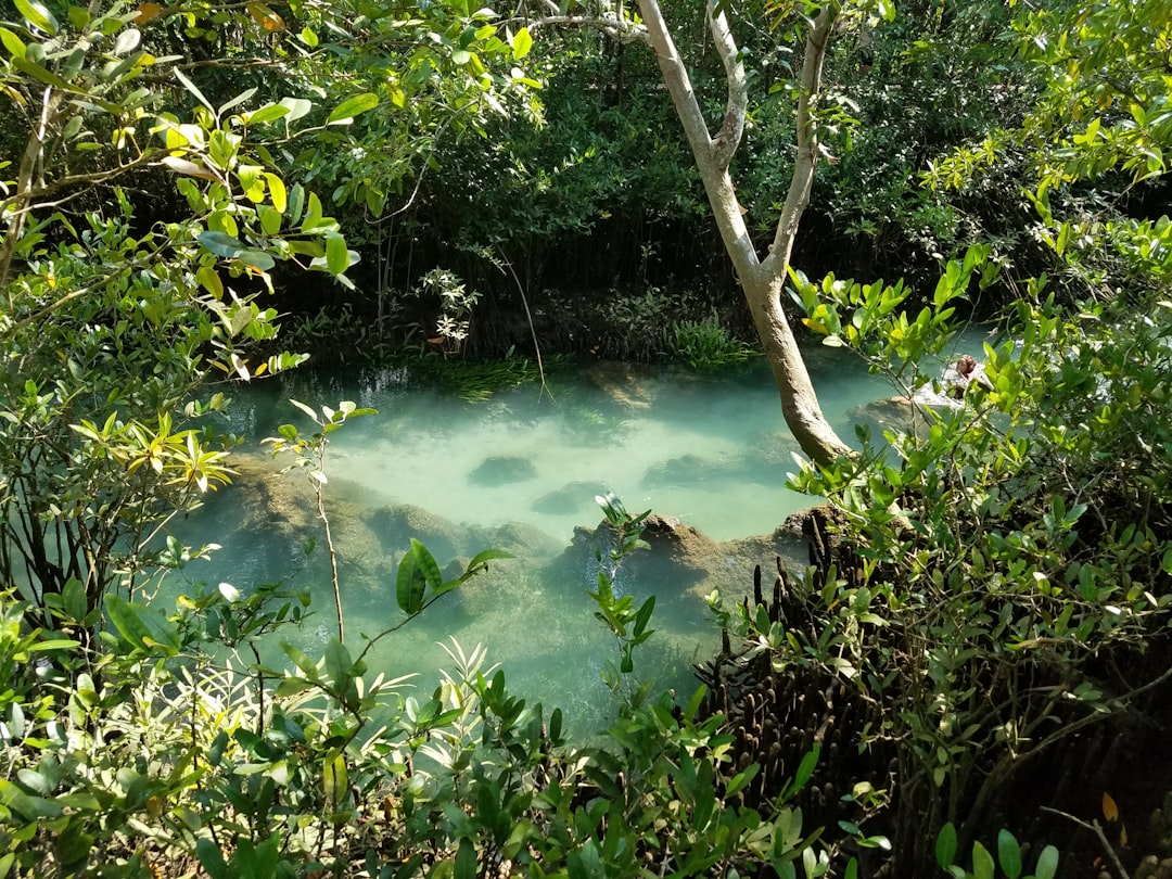 Jungle photo spot Krabi Phi Phi Islands