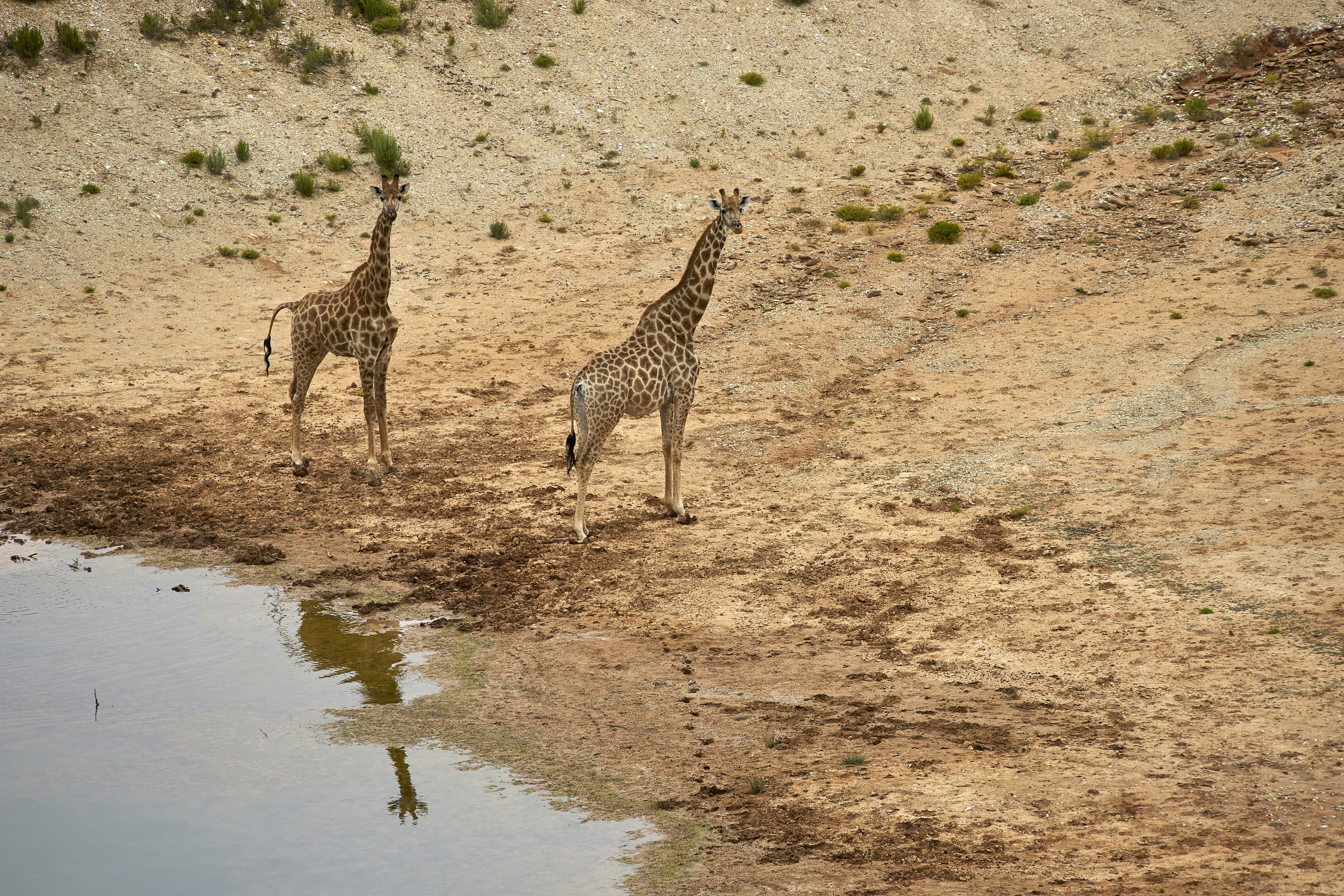 Photo by wolfgang_hasselmann