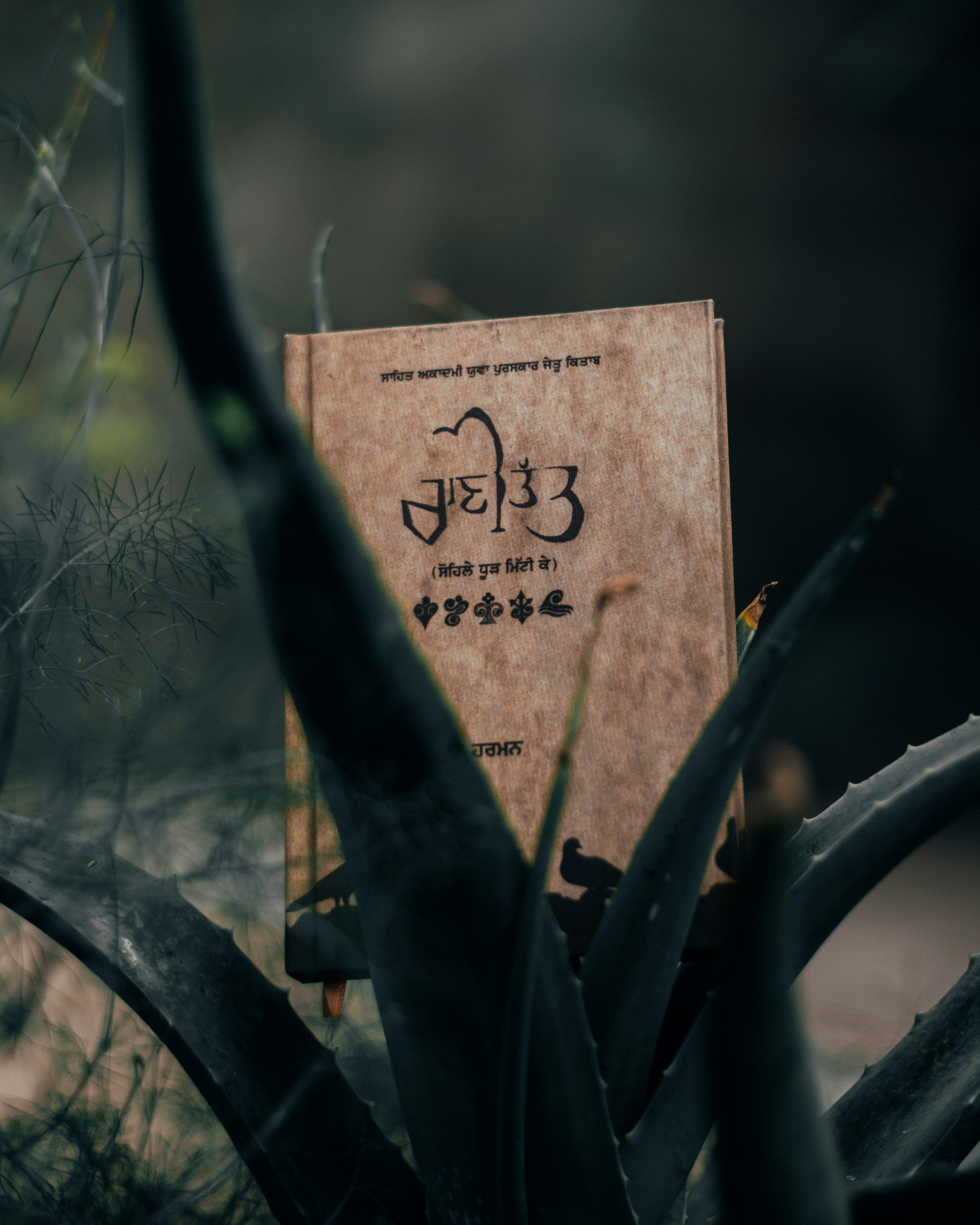 brown wooden signage on green plant