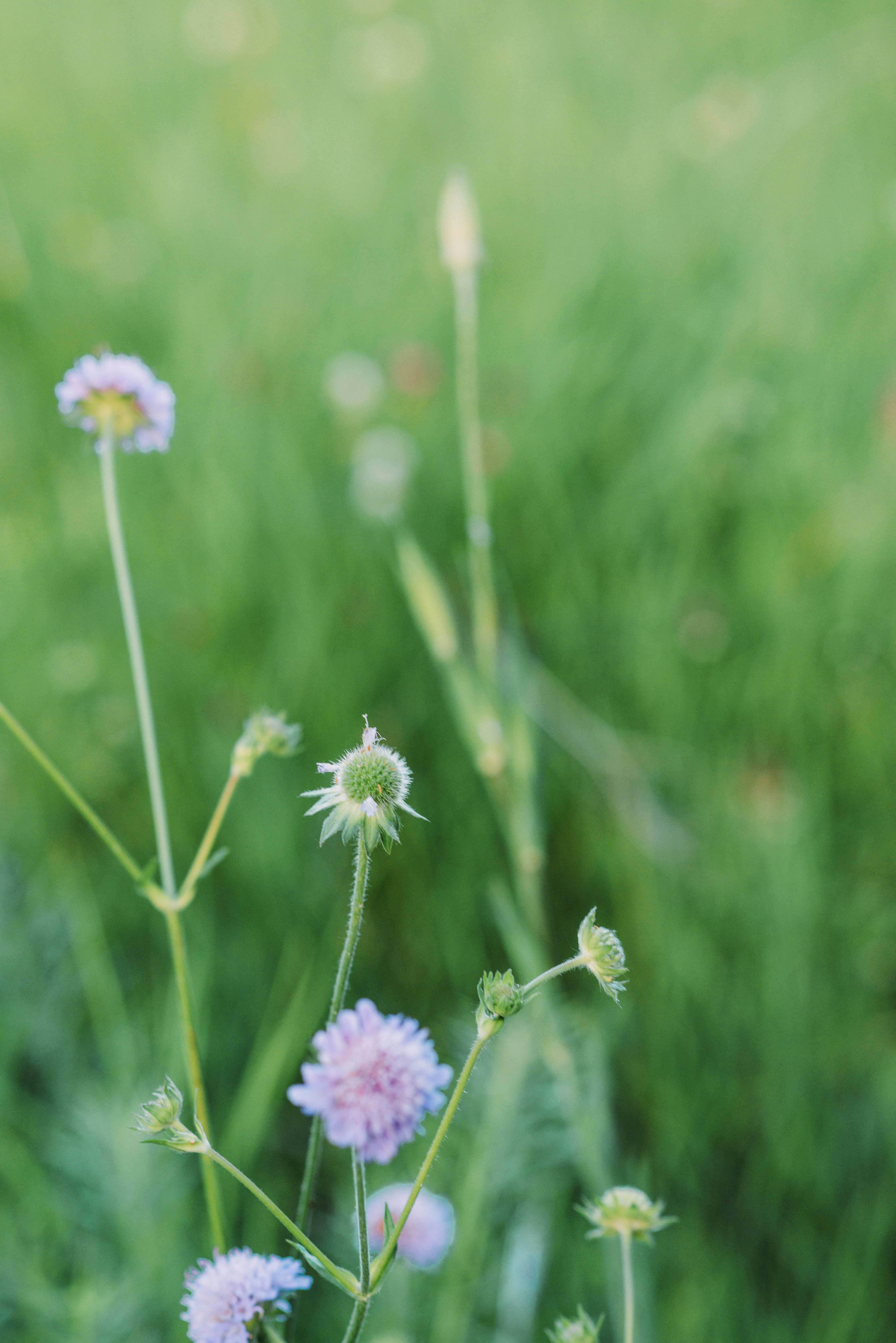 Photo by eugenivy_now