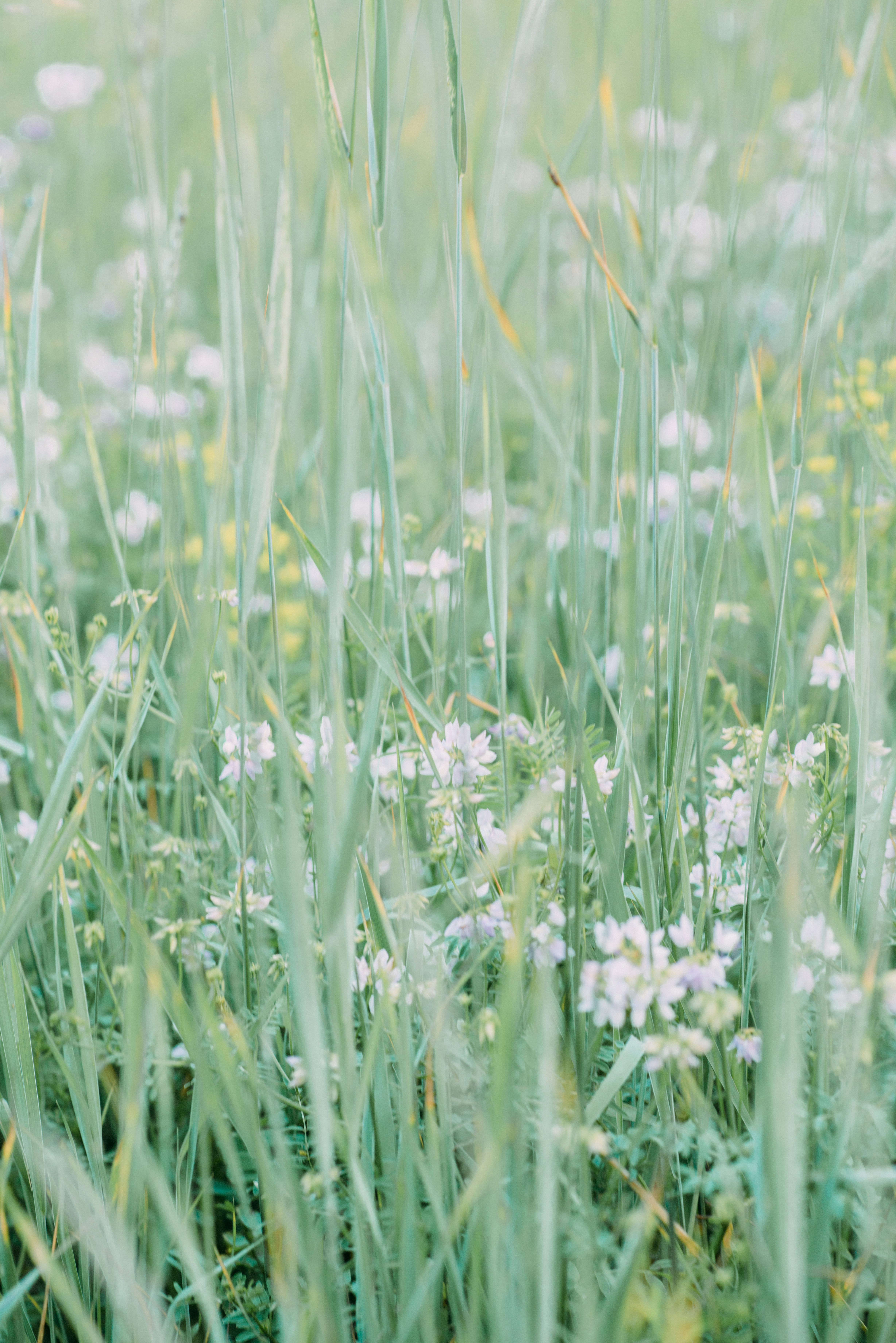 Photo by eugenivy_now