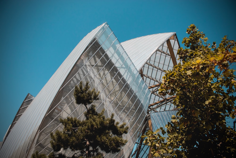 green trees near glass building during daytime