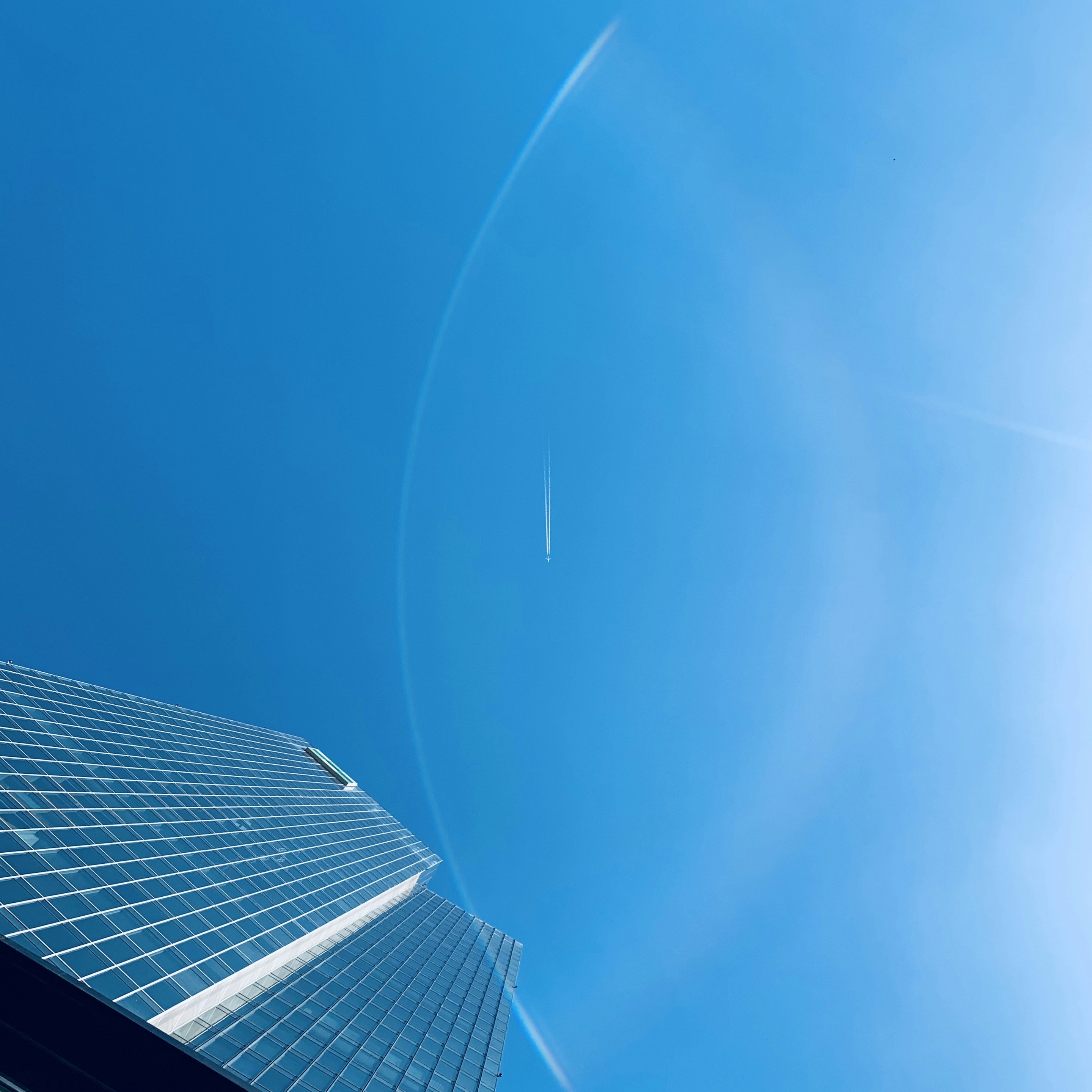 Photo by cardia_gong