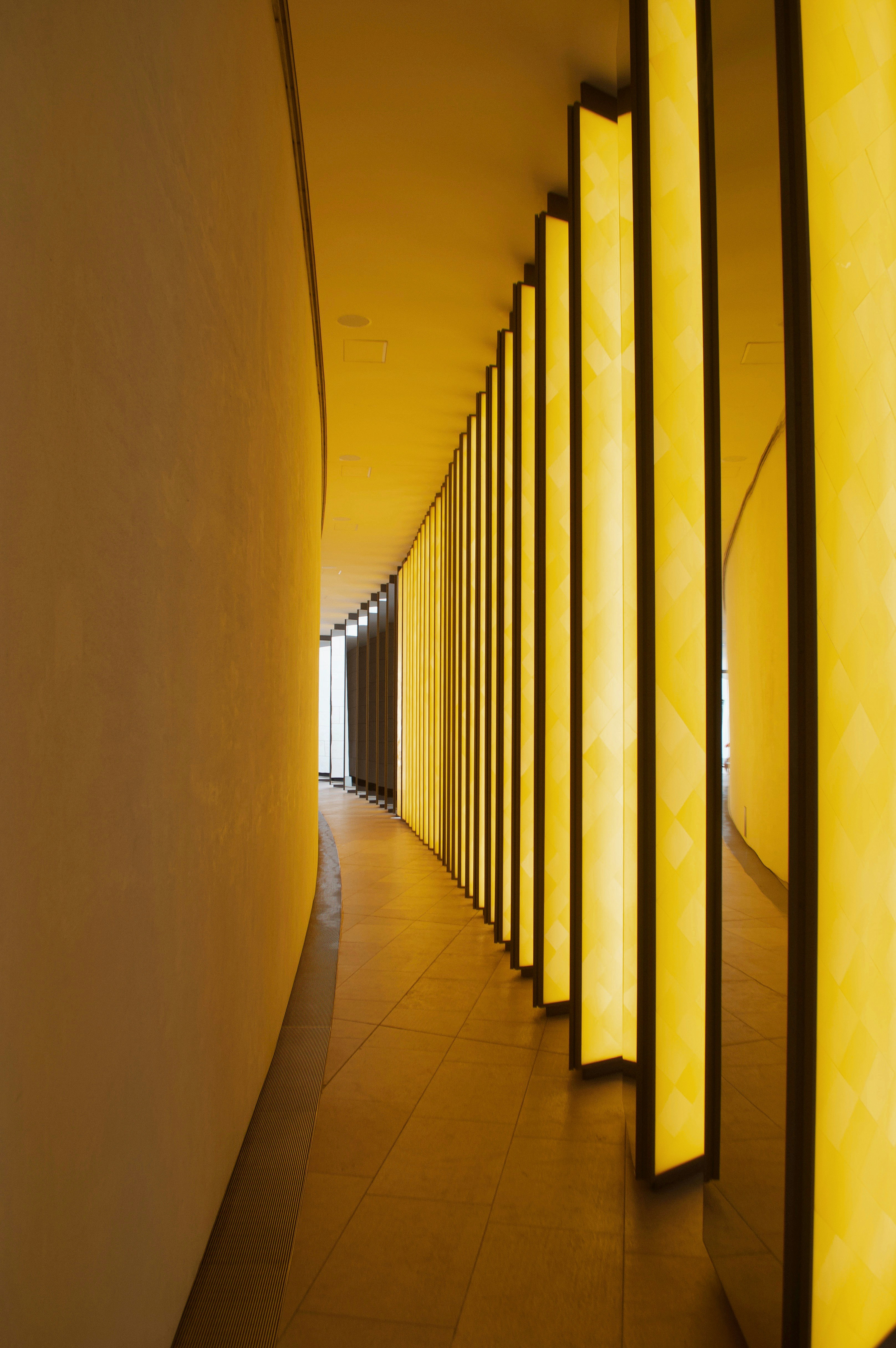 Photo by herfrenchness