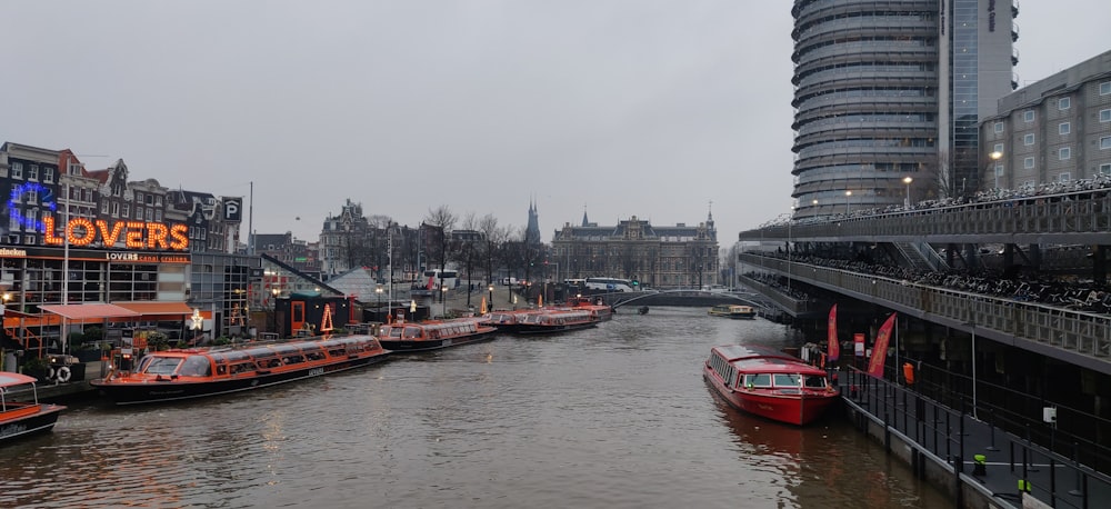 red and white boat on river during daytime