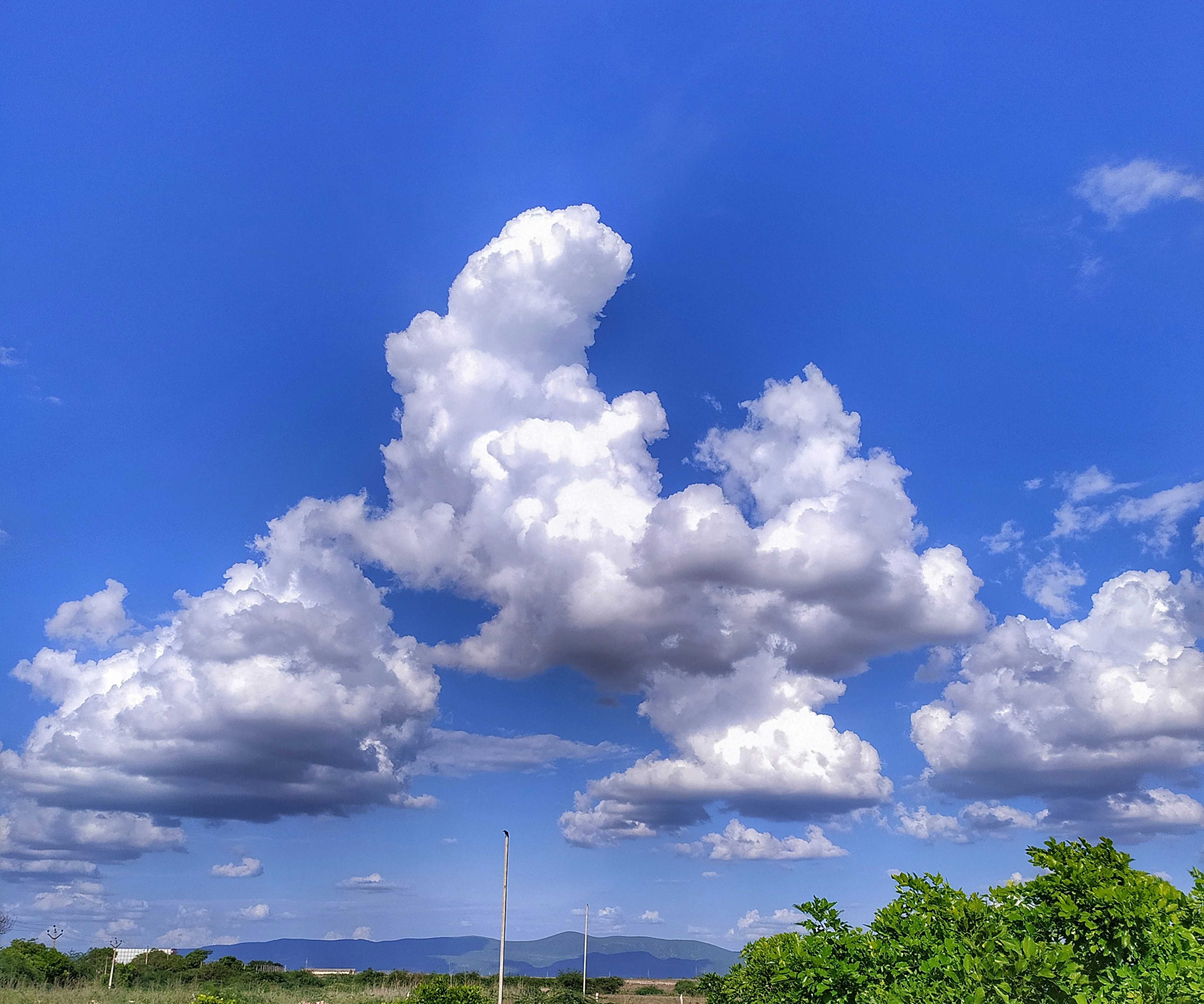 green trees under blue sky and white clouds during daytime