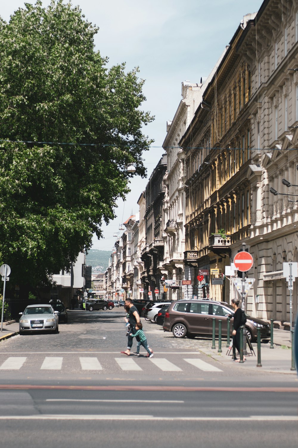 people walking on pedestrian lane during daytime