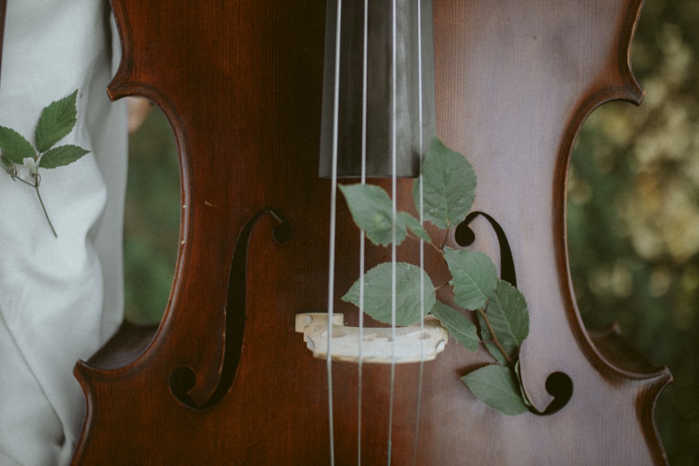 茶色の木製バイオリンに緑の葉