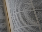 An open book displaying a page filled with text. The text is clearly printed, featuring a mix of normal and bold fonts, with some words emphasized in bold for highlight. The focus is primarily on the left page, while the right page is visible but blurred.