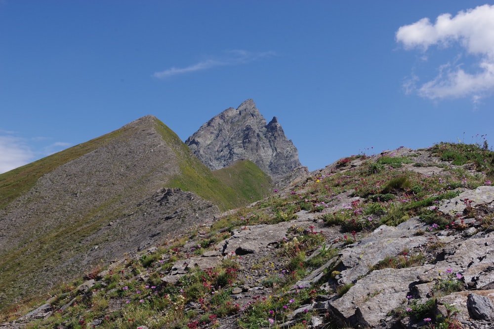 green and gray mountain under blue sky during daytime